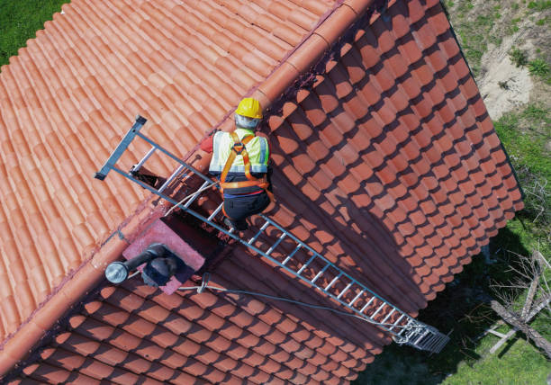 Roof Moss and Algae Removal in Elon, NC